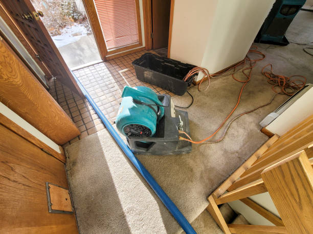 Water damage restoration mold remediation in Muscoy, CA