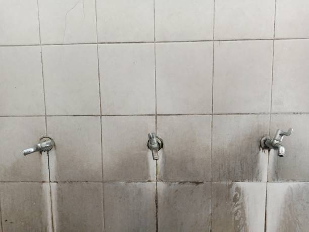 Best Basement water damage restoration  in Muscoy, CA