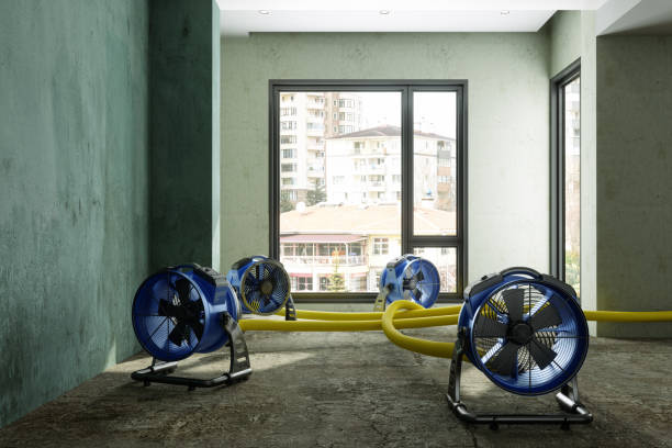 Best Residential water damage restoration  in Muscoy, CA