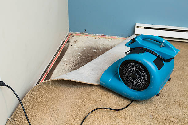 Reliable Muscoy, CA Water damage restoration Solutions